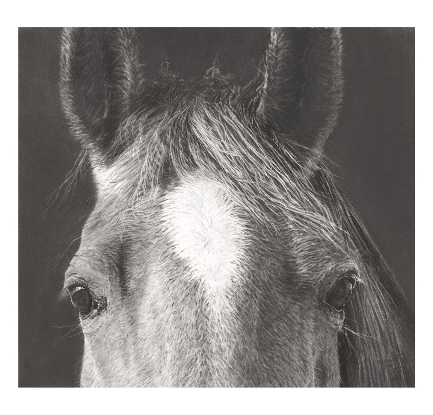 A Horseman's Soul