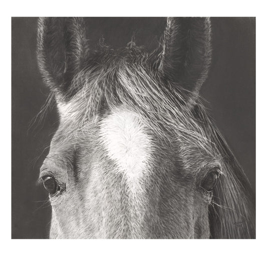 A Horseman's Soul